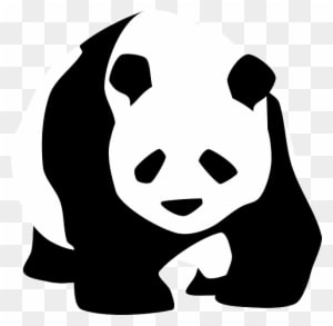 Endangered Species On The Rise The Impact Of Humans - Panda Black And White - Transparent PNG Free Download