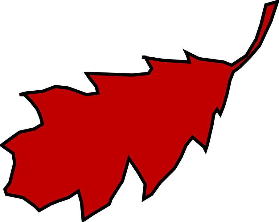 Leaf Oak Red Fall Autumn Season Nature Brown - Red Oak Leaf Clipart - Transparent PNG Free Download