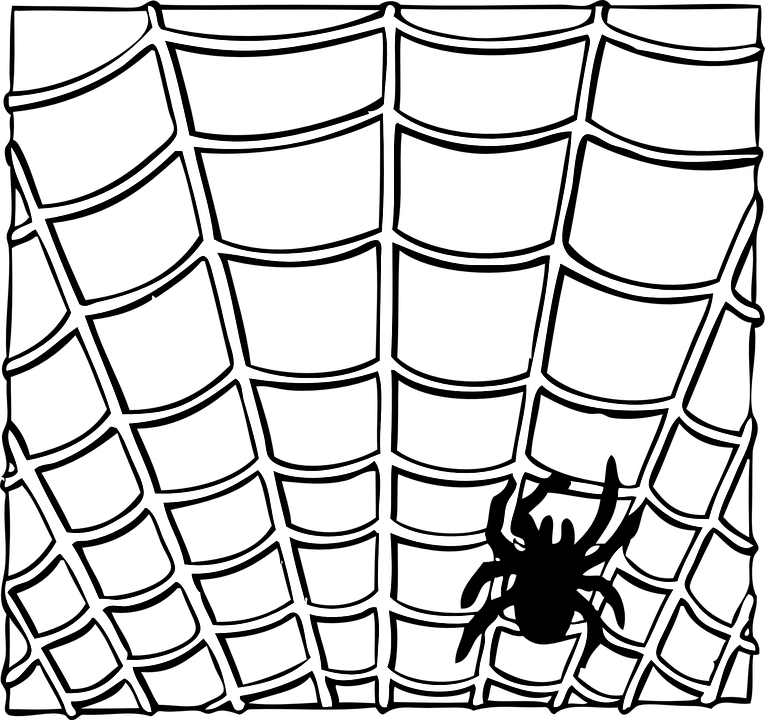 Spider Web Insect Animal Halloween Creepy Nature - Spiderman Webbing Black And White - Transparent PNG Free Download