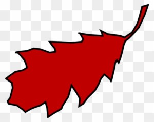 Leaf Oak Red Fall Autumn Season Nature Brown - Red Oak Leaf Clipart - Transparent PNG Free Download