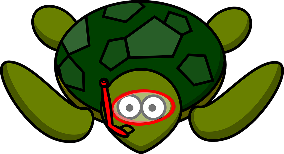 Turtle Animal Nature Water Wildlife Green - Cartoon Turtle Png - Transparent PNG Free Download