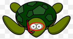 Turtle Animal Nature Water Wildlife Green - Cartoon Turtle Png - Transparent PNG Free Download