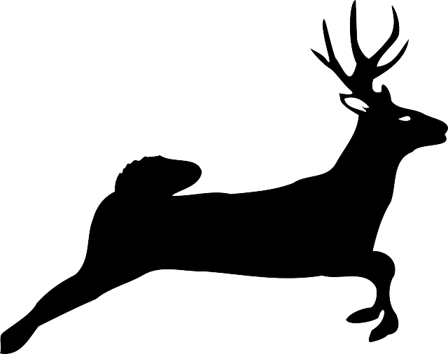 Silhouette Animal, Deer, Nature, Silhouette - Deer Jumping Clipart - Transparent PNG Free Download