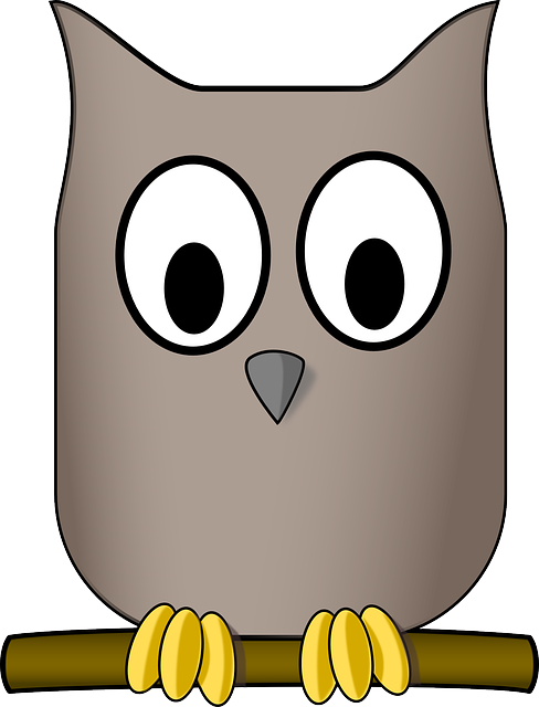 Nature Owl, Animal, Aves, Bird, Eyes, Nature - Cartoon Athenas Owl - Transparent PNG Free Download