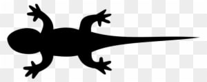 Eidechse, Leguan, Gecko, Tier, Natur - Silhouette Lizard - Transparent PNG Free Download