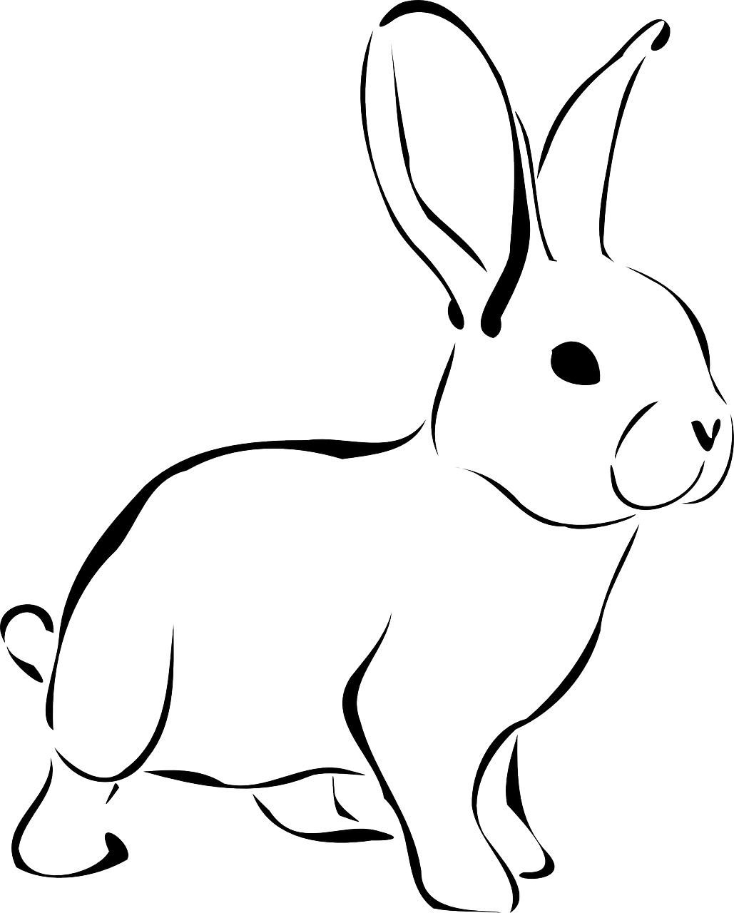 Kaninchen, Tier, Tierwelt, Natur, Hase, Frühling - Rabbit Clipart Black And White - Transparent PNG Free Download