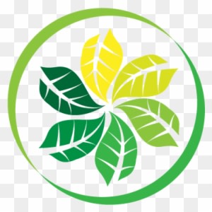 Sheehan Natural Health Improvement Center - Naturopathy - Transparent PNG Free Download