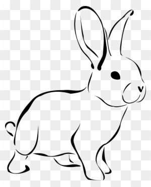 Kaninchen, Tier, Tierwelt, Natur, Hase, Frühling - Rabbit Clipart Black And White - Transparent PNG Free Download