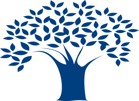 Baum Niederlassungen Blätter Blau Natur De - Blue Tree Clip Art - Transparent PNG Free Download