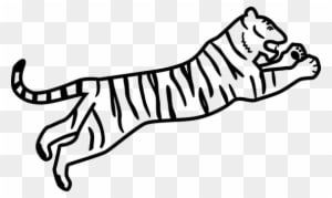Tiger Wildcat Animal Cat Nature Mammal Wil - Bengal Tiger Easy Drawing - Transparent PNG Free Download