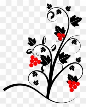 Vine, Wine, Plant, Red, Grape-vine, Nature - Psalm 27:1 Greeting Cards - Transparent PNG Free Download