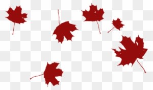 Maple Falling Wind Red Leaves Nature Autum - Grape Leaf Clip Art - Transparent PNG Free Download