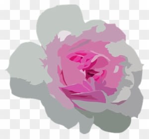 Flower Floral Botanical Plant Nature Botan - Moderne Rosa Und Graue Blumensave The Date Postkarte - Transparent PNG Free Download