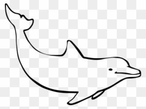 Dolphin Ocean Mammal Nature Marine Animal - Drawing Of A Dolphin - Transparent PNG Free Download