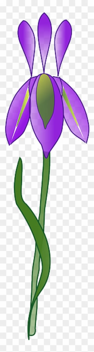 Purple, Iris, Plant, Garden, Nature - Iris Flower Vector Png - Transparent PNG Free Download