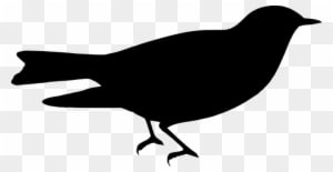 Silhouette, Bird, Nature, From The Side - Bird - Transparent PNG Free Download