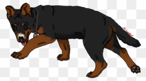 War Wolf - Dog Catches Something - Transparent PNG Free Download