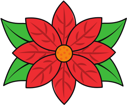 Poinsettia Flower For Christmas Decoration Natural - Christmas Decoration - Transparent PNG Free Download