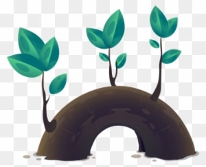 Plant Leaves Growth Tree Nature Green Envi - Φυλλάδια Προπαιδειασ - Transparent PNG Free Download