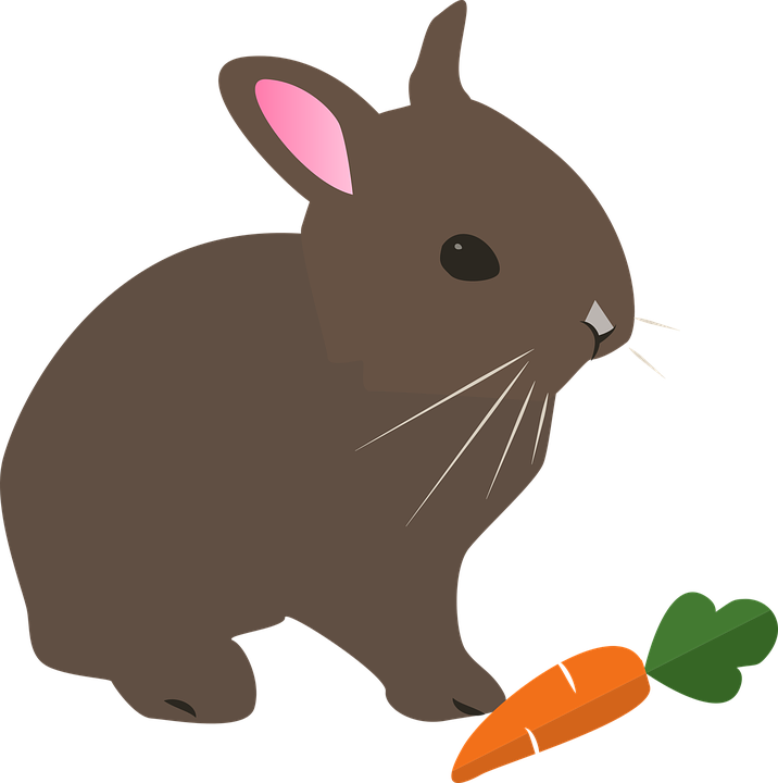 Free Photo Rabbit Spring Hare Animal Pet Easter Nature - Clip Art Kelinci - Transparent PNG Free Download
