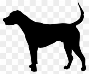 Animal Dog Foxhound Mammal Nature Silhouet - Remove Ticks From Dogs - Transparent PNG Free Download