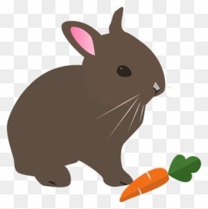 Free Photo Rabbit Spring Hare Animal Pet Easter Nature - Clip Art Kelinci - Transparent PNG Free Download