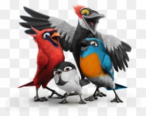 15 Of The Most Beautiful Birds In World Nature Babamail - Moving Animated Pictures Of Birds - Transparent PNG Free Download