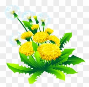 Tubes Nature - Album Design Flower Png - Transparent PNG Free Download