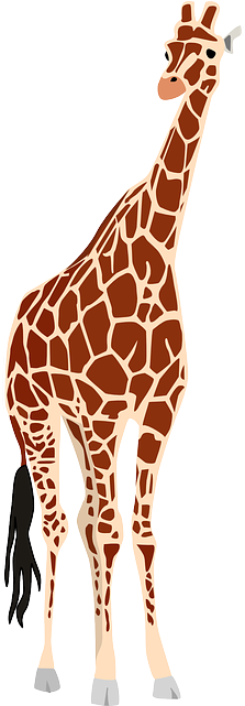 Africa, Safari, Wildlife, Animal, Zoo, Nature - Africa Wild Life Png - Transparent PNG Free Download