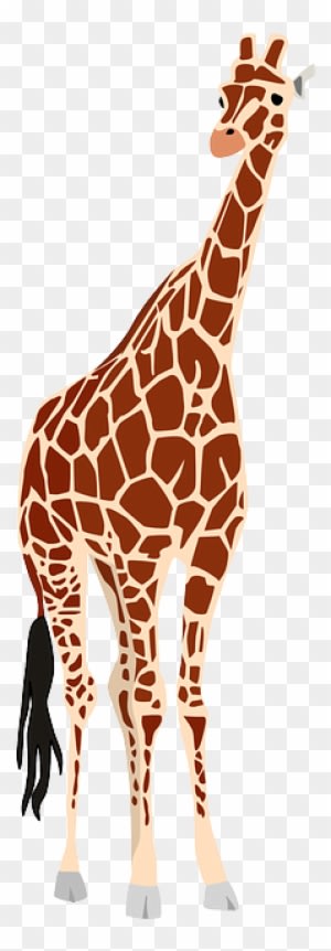 Africa, Safari, Wildlife, Animal, Zoo, Nature - Africa Wild Life Png - Transparent PNG Free Download