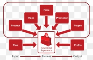 Our Retail Education Model™ Supports The Dynamic Nature - Retail Models - Transparent PNG Free Download