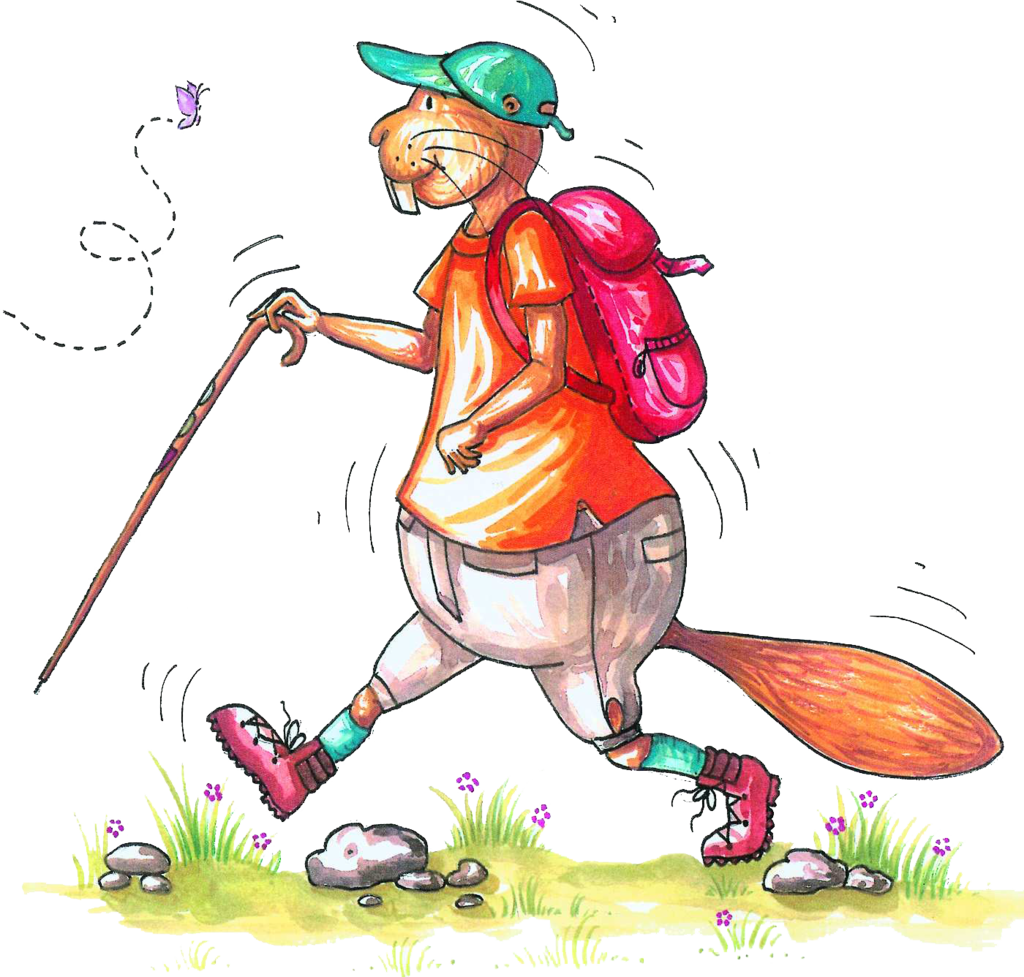 Hausen Soll Für Die Schönheiten Und Besonderheiten - Illustration - Transparent PNG Free Download