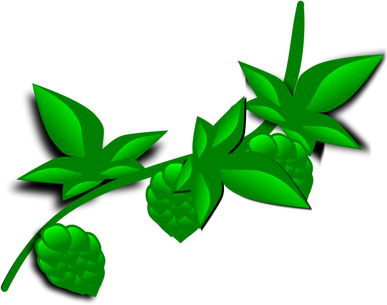 Nature Cliparts, Nature Design Svg - Plant Clip Art - Transparent PNG Free Download