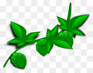 Nature Cliparts, Nature Design Svg - Plant Clip Art - Transparent PNG Free Download