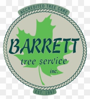 Tree Work In The Berkshires Of Western Mass Natural - Cafepress Bozeman, Mt 2063 Cube Ottoman - Transparent PNG Free Download