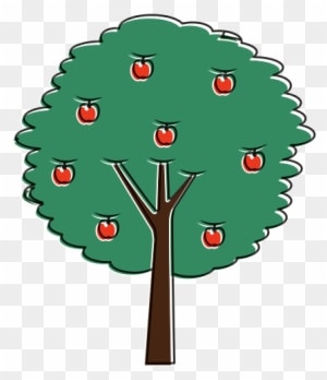 Fruit Apple Tree Agriculture Nature Botanical - Trunk - Transparent PNG Free Download
