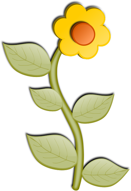 Nature Sunflower, Flower, Bloom, Blossom, Leaves, Nature - Flower Cartoon No Background - Transparent PNG Free Download
