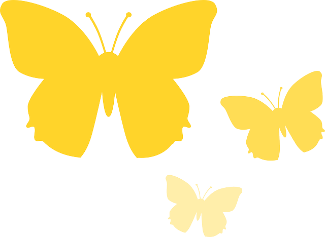 Insect Butterfly, Animal, Nature, Yellow, Insect - Borboleta Amarela Em Png - Transparent PNG Free Download