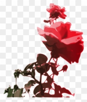 Red, Flower, Pink, Rose, Color, Gift, Bloom, Nature - Roses Clipart - Transparent PNG Free Download