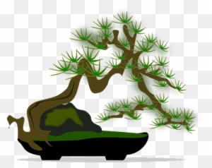 Bonsai Clip Art Flora Nature Plant Tree Bo - Clip Art - Transparent PNG Free Download