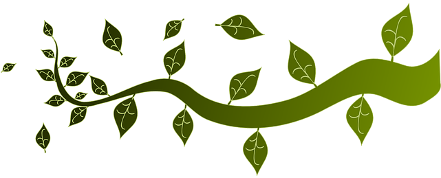 Ornament Branch, Leaves, Nature, Tree, Twig, Ornament - Tree Borders Clip Art - Transparent PNG Free Download