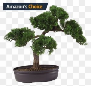 Nearly Natural Artificial Silk Plant, Cedar Bonsai - Make An Artificial Bonsai Tree - Transparent PNG Free Download