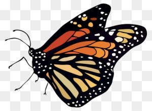 #monarch From The #efrstickers Nature Sticker Sheet - Monarch Butterfly - Transparent PNG Free Download