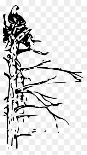 Tree Dead Nature Landscape Png Image - Bald Eagle - Transparent PNG Free Download