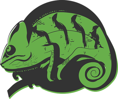 Illustration Chameleon Green Nature Print - Chameleon Head Png - Transparent PNG Free Download