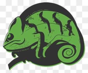 Illustration Chameleon Green Nature Print - Chameleon Head Png - Transparent PNG Free Download