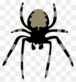 Horror Spider, Insect, Arachnoid, Animal, Nature, Fear, - Clip Art Spider - Transparent PNG Free Download