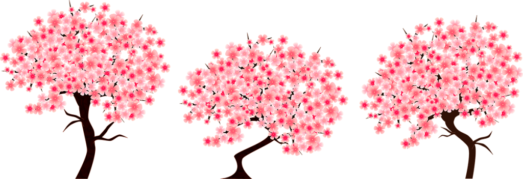 It Was First Used To Describe Nature, Like Small Animals - Cherry Blossom - Transparent PNG Free Download