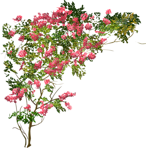 Tubes Nature - - Куст Цветов Png - Transparent PNG Free Download