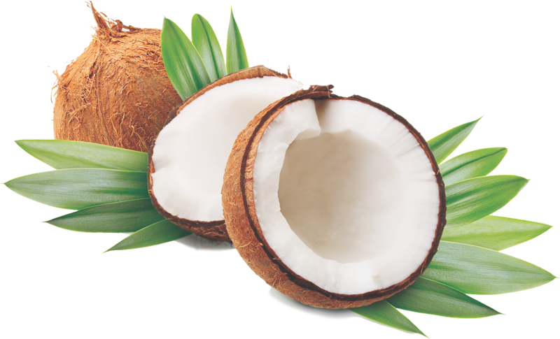 Coconut Oil Is Growing In Popularity As A Product That - Anjou Coconut Oil 32 Oz, Organic Extra Virgin, Cold - Transparent PNG Free Download